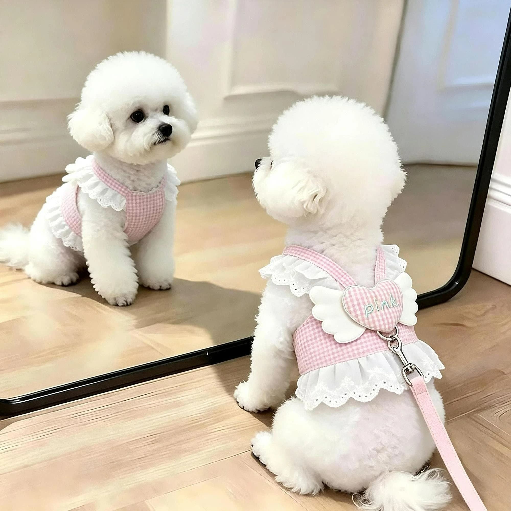 Cute Pink Lace Ruffle Plaid Dog Harnesses Vest Angel Heart Mesh Pet Chest Strap for Small Medium Dog Cat Outdoor Walking Apparel