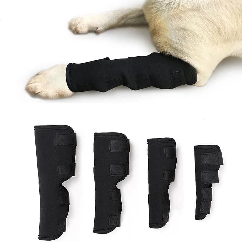 Fasce per cani, bendaggi per infortuni alle zampe, tutore per ginocchio, protezione per articolazioni canine, bendaggio avvolgente, forniture mediche per cani, accessori per cani