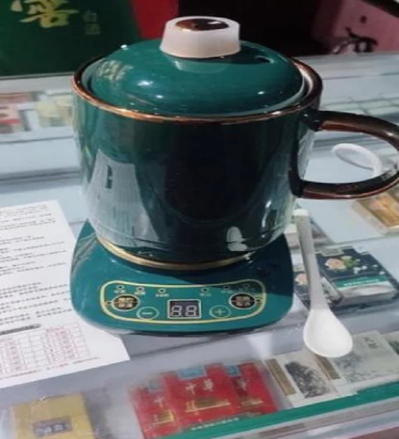 110V/220V Electric Kettle Ceramic Tea Warmer Health Care Overheat Protection for Japan USA Canada DS
