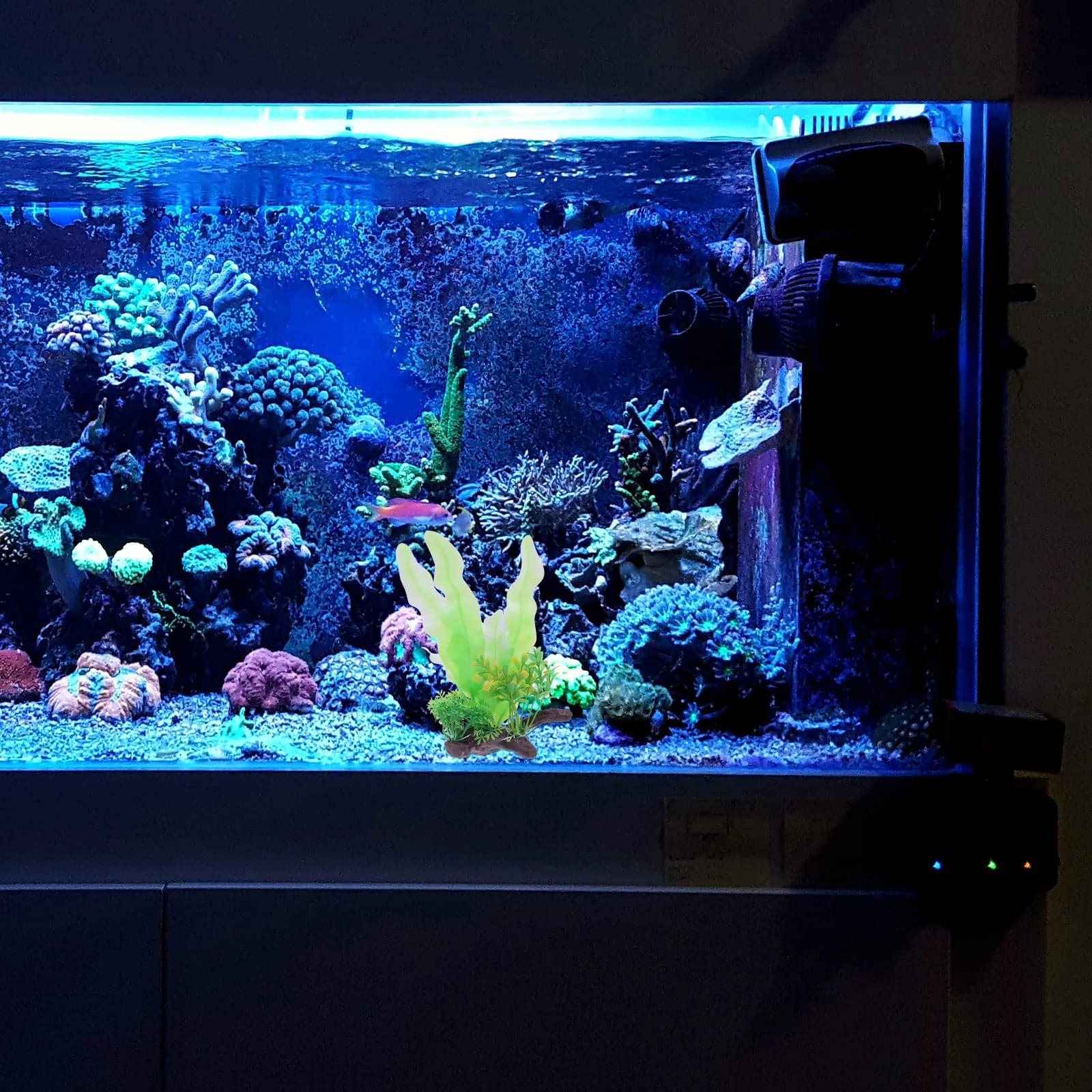 Erba Acquatica Artificiale Realistica per Acquario, Decorazione per Vasche dei Pesci, Pianta Acquatica Simulata, Ornamento Sicuro in Materiale PE, Nascondiglio Naturale