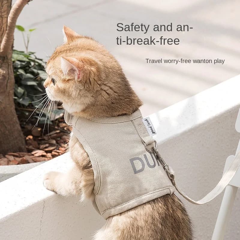 Corda di trazione per gatti Imbracatura per gatti anti-breakaway Imbracatura per animali traspirante per quattro stagioni Guinzaglio per gatti Guinzaglio per cani per passeggiate all'aperto