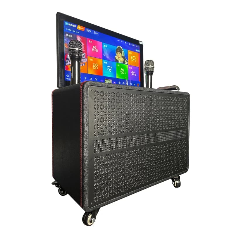 18.5inch 6in 1 Hot Sale Black Wireless Microphone Most Popular Premium Durable Karaoke Player Machine