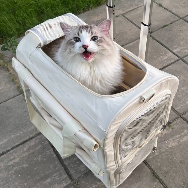 2 Decker Rolling Pet Suitcase Large Space Breathable Backpack Carrier with Wheels Portable Bus Style Cat Luggage Pet Trolley Bag