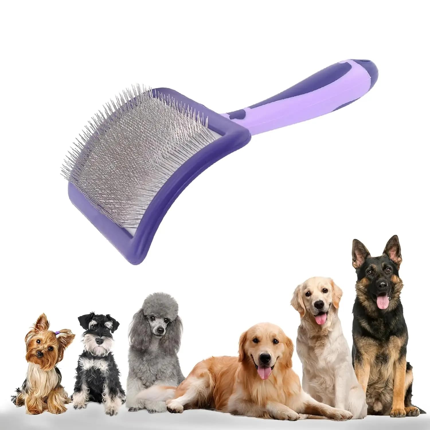 Spazzola per cani per barboncini Spazzola per toelettatura per demostare cagnoli districanti Capelli da pastore tedesco Pitbull Yorkies Retriever Bagno