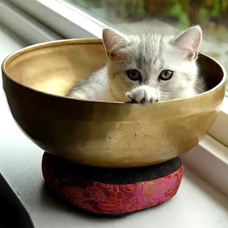 Nepal Handmade Sound Healing Singing Bowl Yoga Meditation Buddha Tone Bowl
