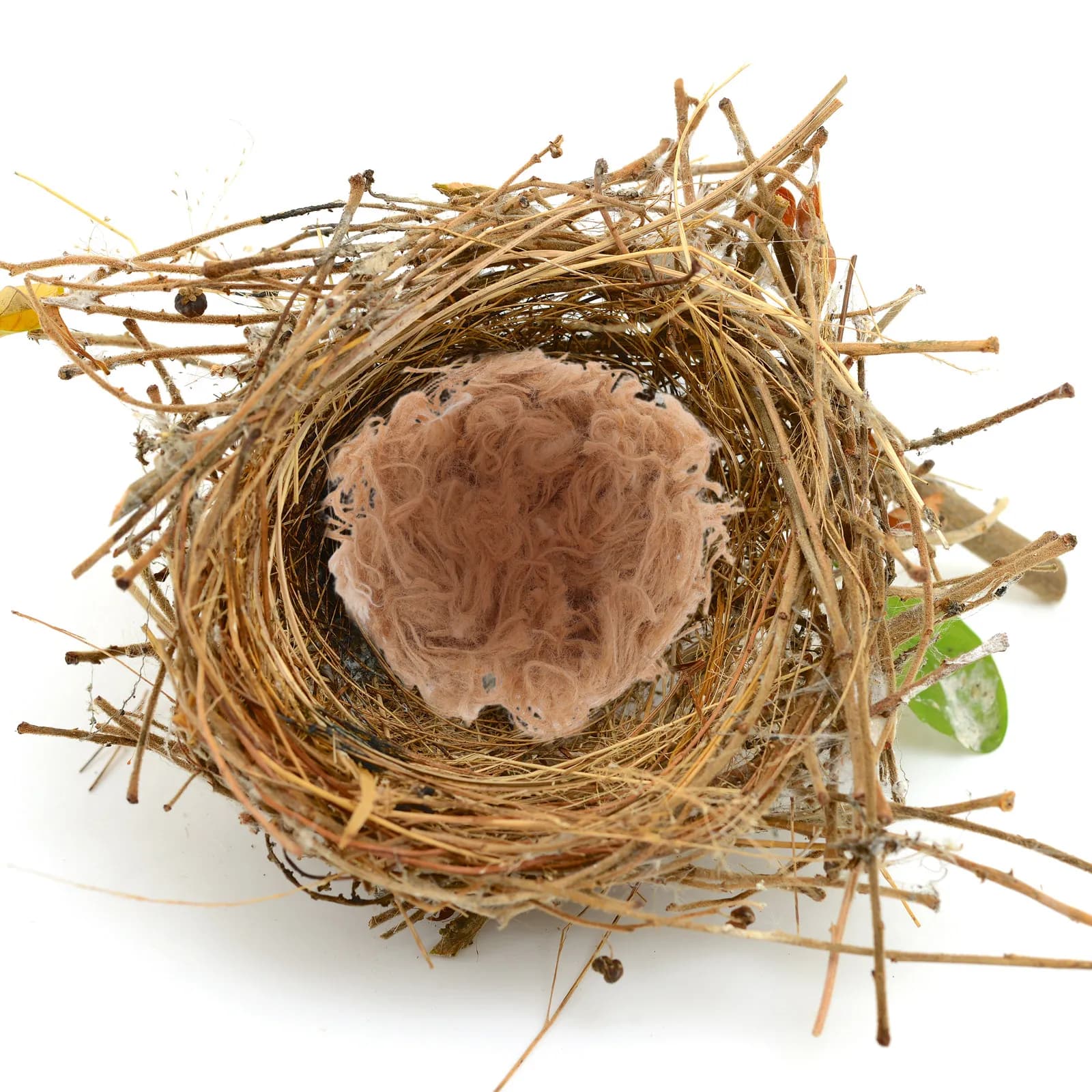Natural Material for Bird Nests 40G, Mixed Jute Filling for Nidi Fai-Te Construction, Promotes Natural Behavior, Hidden Space