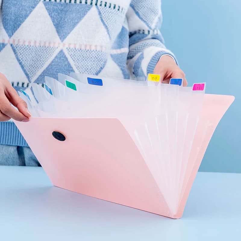 1 cartella portadocumenti per studenti con simpatica custodia trasparente in stile fisarmonica con 5 scomparti per organizzare strumenti