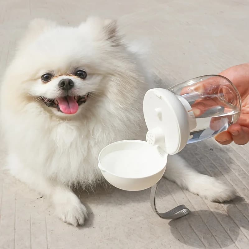 Pets Feeder Bowl Water Dispenser 2 in 1 Portable Food collapsible design portable Cat Outdoor Travel Mushroom Cups Pet Supplies