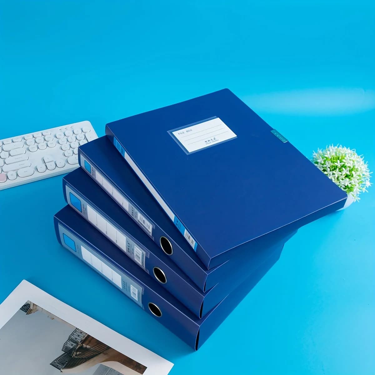 Scatola portadocumenti in plastica A4 durevole da 1 pezzo/5 pezzi - Organizzatore di documenti in colore blu per ufficio, scuola e casa - Carte finanziarie, passaporti