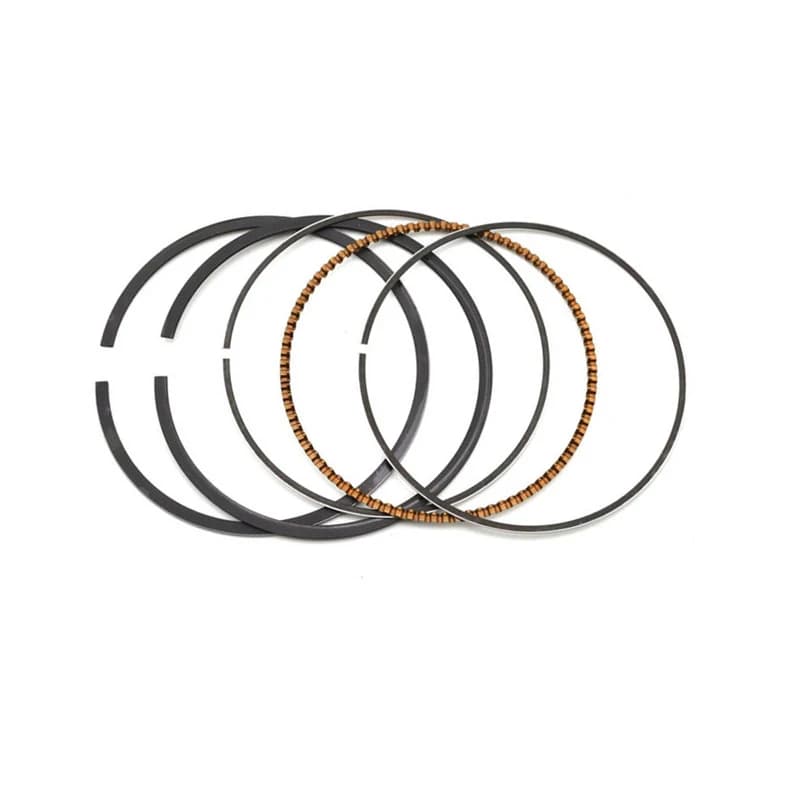 Motorcycle Engine Parts Piston Rings Kit Bore STD Size 73mm ~ 74mm For SUZUKI AN250 Burgman Skywave 250 DR250 YAMAHA TTR250 4GY