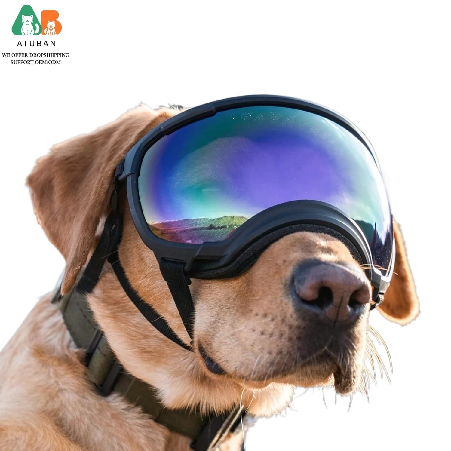 Occhiali da sole per cani Occhiali da sole per cani Occhiali da sci per cani con protezione UV Occhiali da sole per animali domestici con cinturino regolabile da viaggio