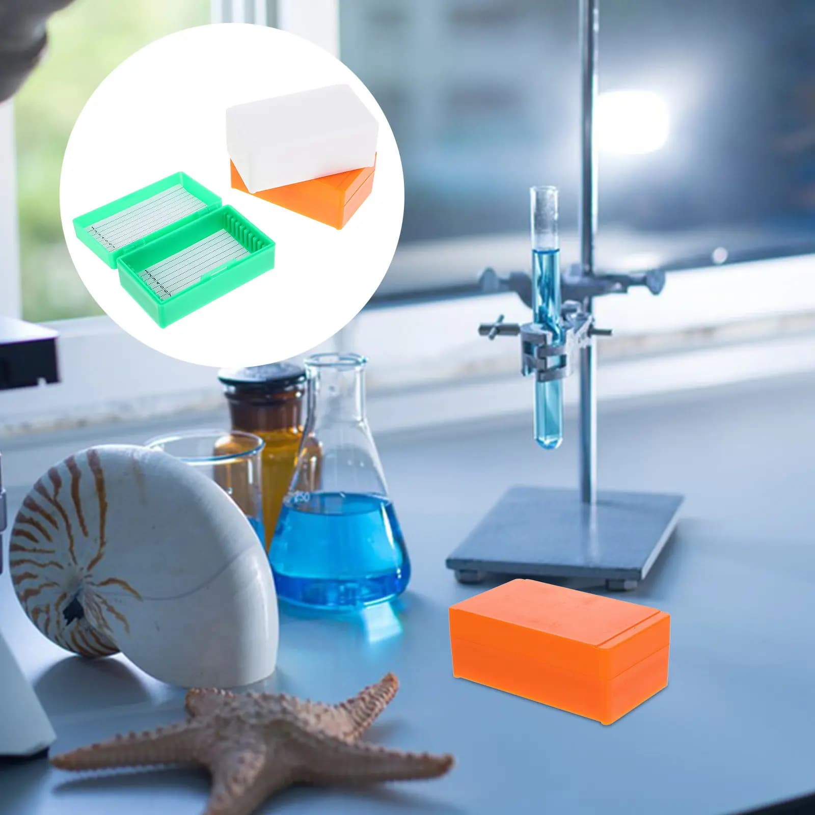 Scatole per diapositive da microscopio da 3 pezzi, contenitori in plastica di grande capacità, porta diapositive da laboratorio, custodia riutilizzabile per l'insegnamento
