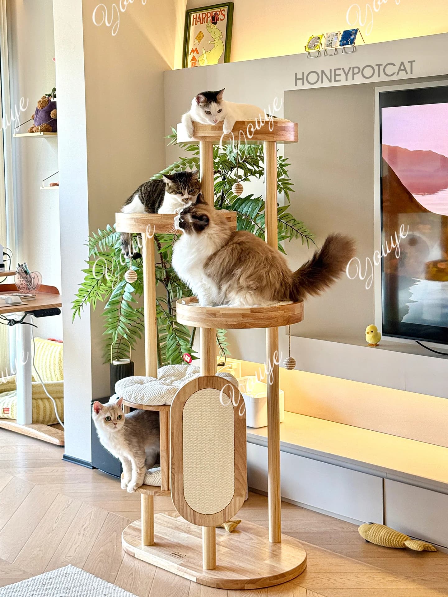 Telaio da arrampicata Q Cat, integrazione dell'albero nido, nuovo telaio per gatti in legno massello in stile cinese, villa per gatti color noce nero