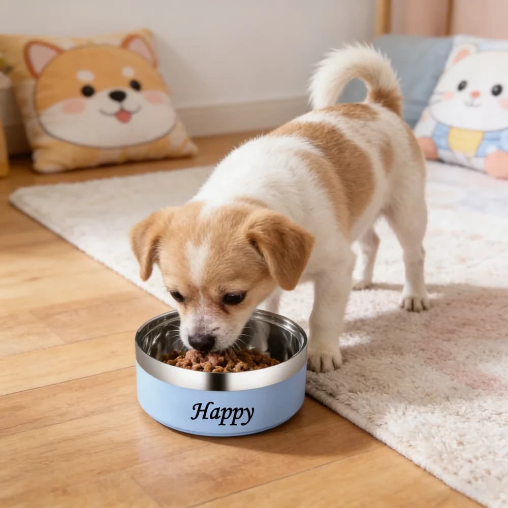 Ciotola per cibo per cani rotonda in acciaio inossidabile personalizzata 1PC personalizzata Ciotola per riso per animali domestici anticaduta addensata Alimentazione per animali domestici Commercio all'ingrosso