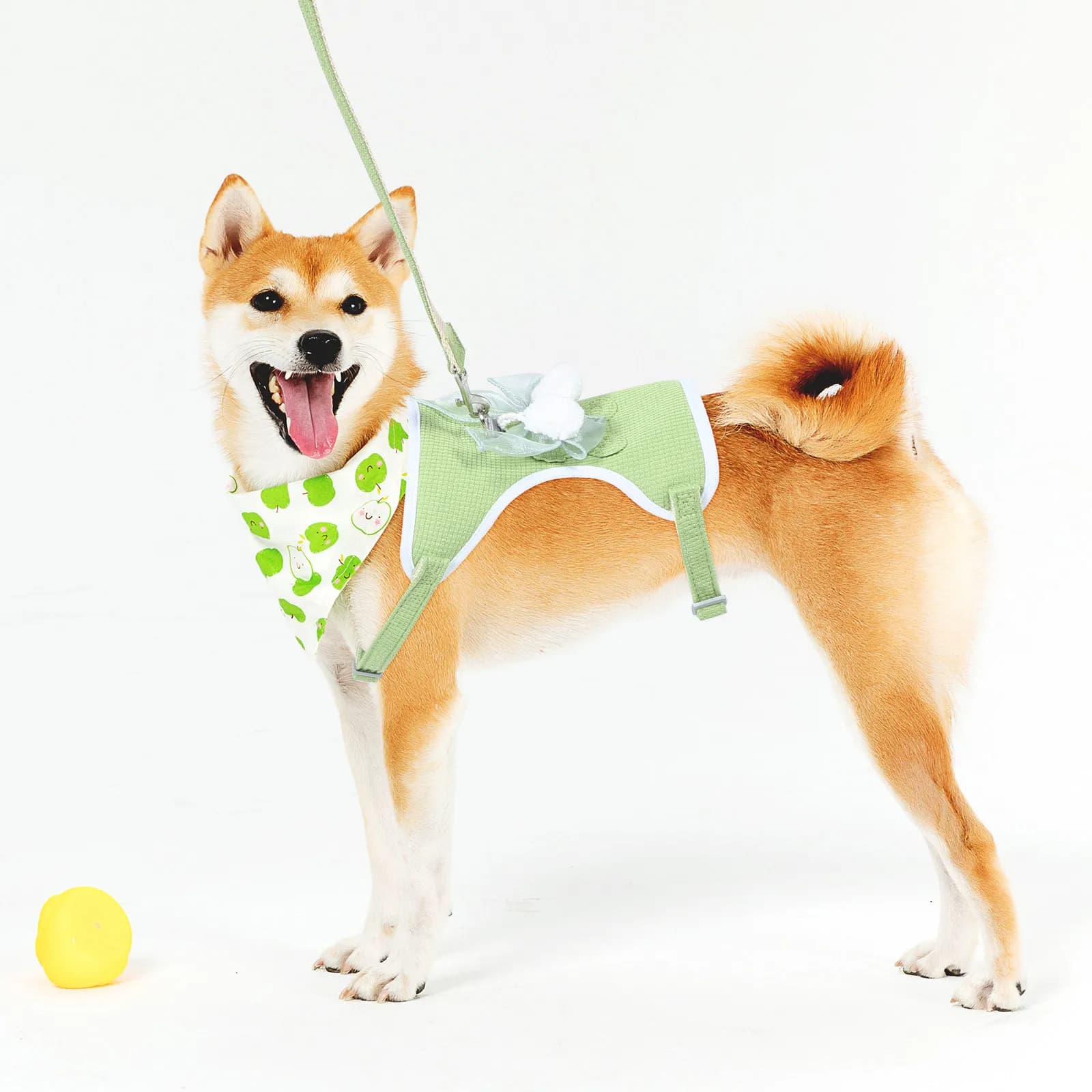Adjustable Dog Harness Mesh Pet Vest Chest Harness Set Small Dogs Cats Puppy Training Outdoor Activities 4.5-9 Kg Dog Walking