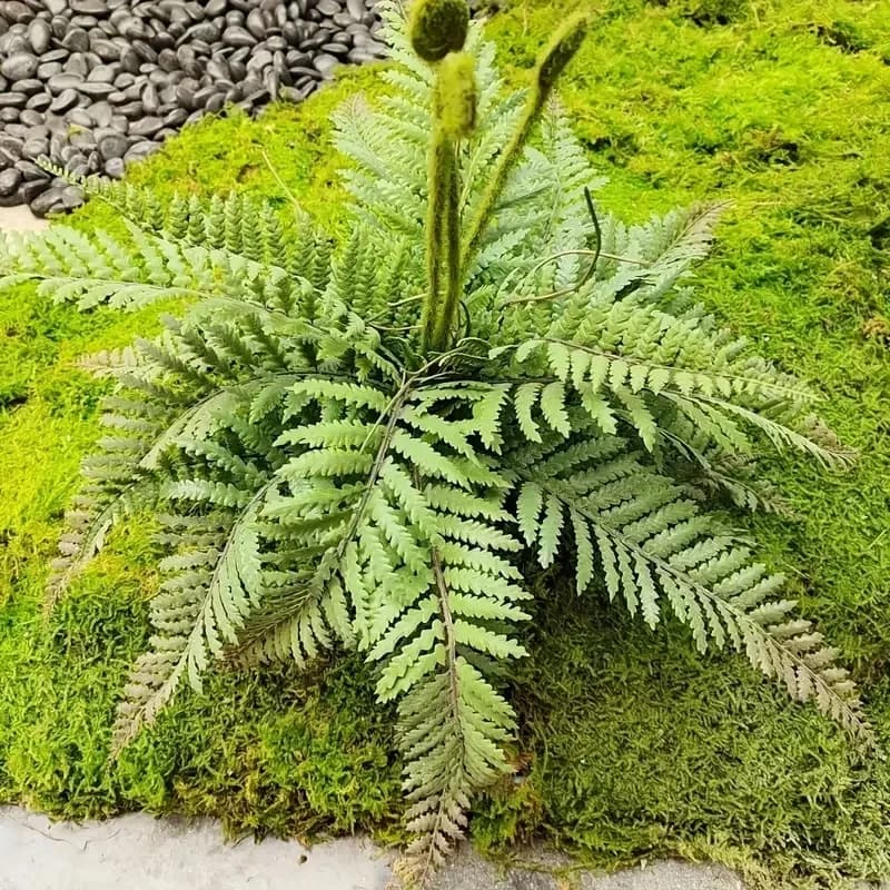 1 pcs artificial plants branch plastic plants fake green Boston fern external arrangement UV-resistant wedding party home decorations
