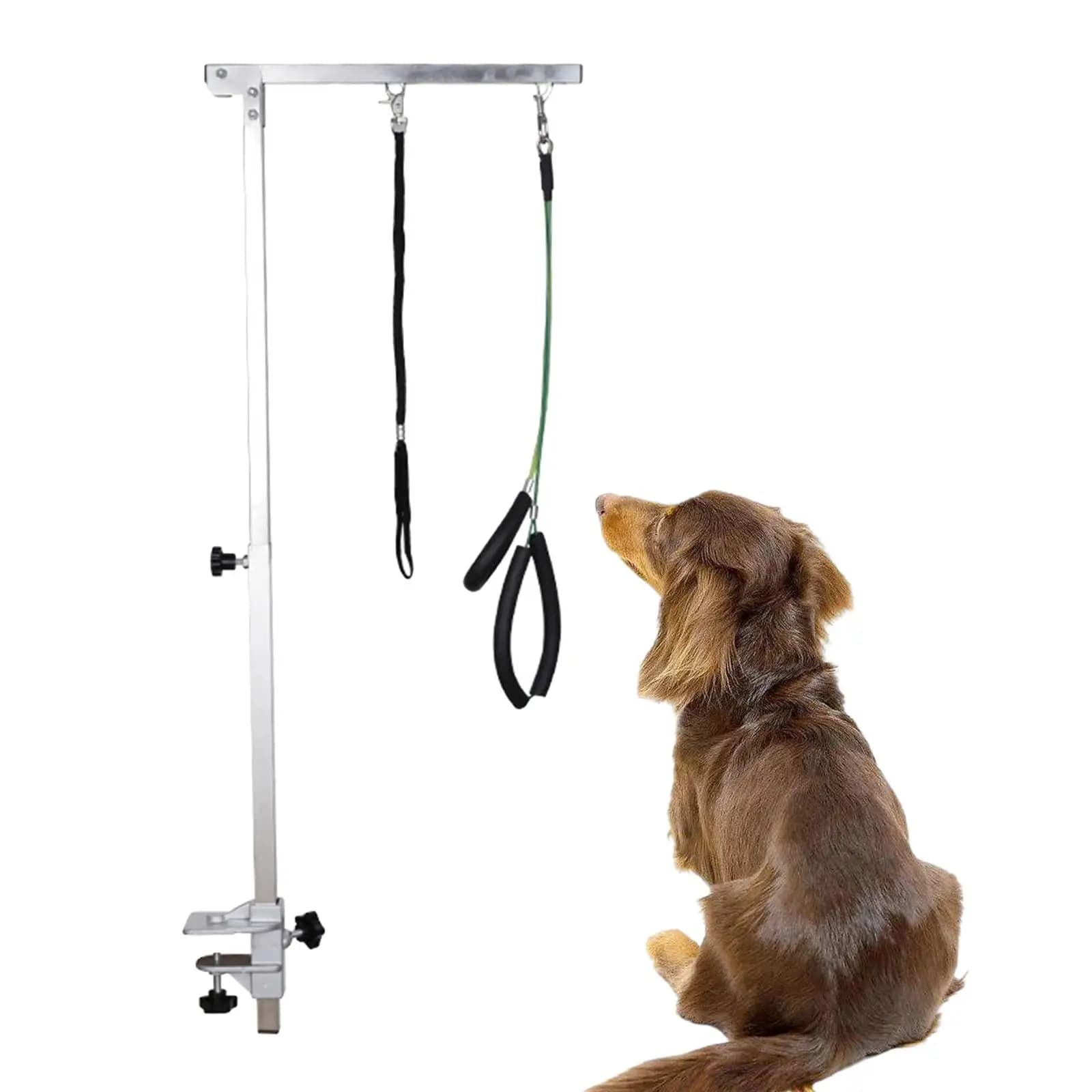 Supporto Estensibile per Toelettatura Cani con Morsetti, Pieghevole, Resistente, da Tavolo, Portatile, Staffa per Tavolo da Toelettatura