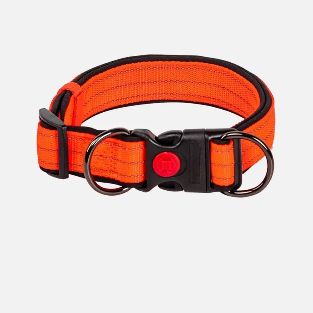 Collare per cani imbottito riflettente con doppio anello a D in nylon resistente con fibbia