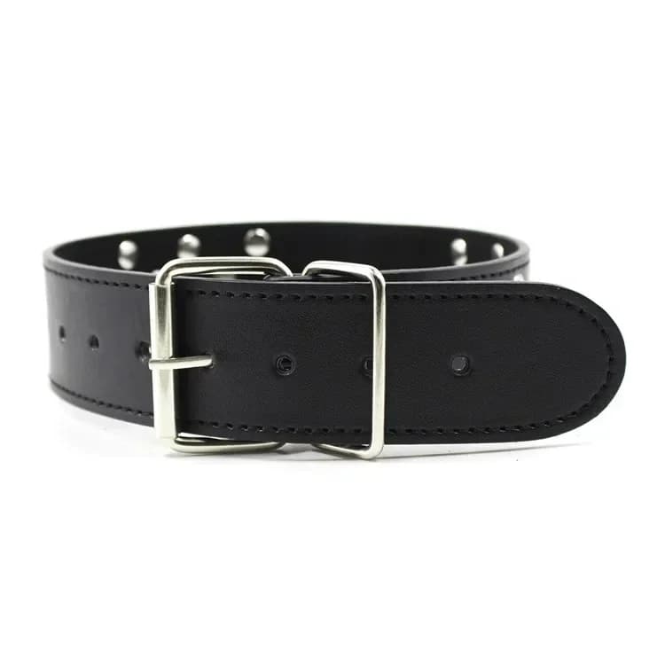 Pastel Goth Collar Choker Necklace Women Collar Women Harness Adjustable Fashion Jewelry BDSM Leather Choker