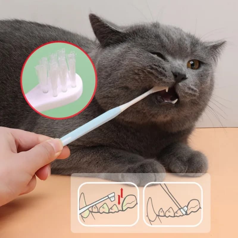 Pet Toothbrush Set Small Head Cat Toothbrush 2PCS Set Oral Care 360 Degrees Cat Toothbrush Suit Soft Hair Dog Teeth Cleaning 2PC
