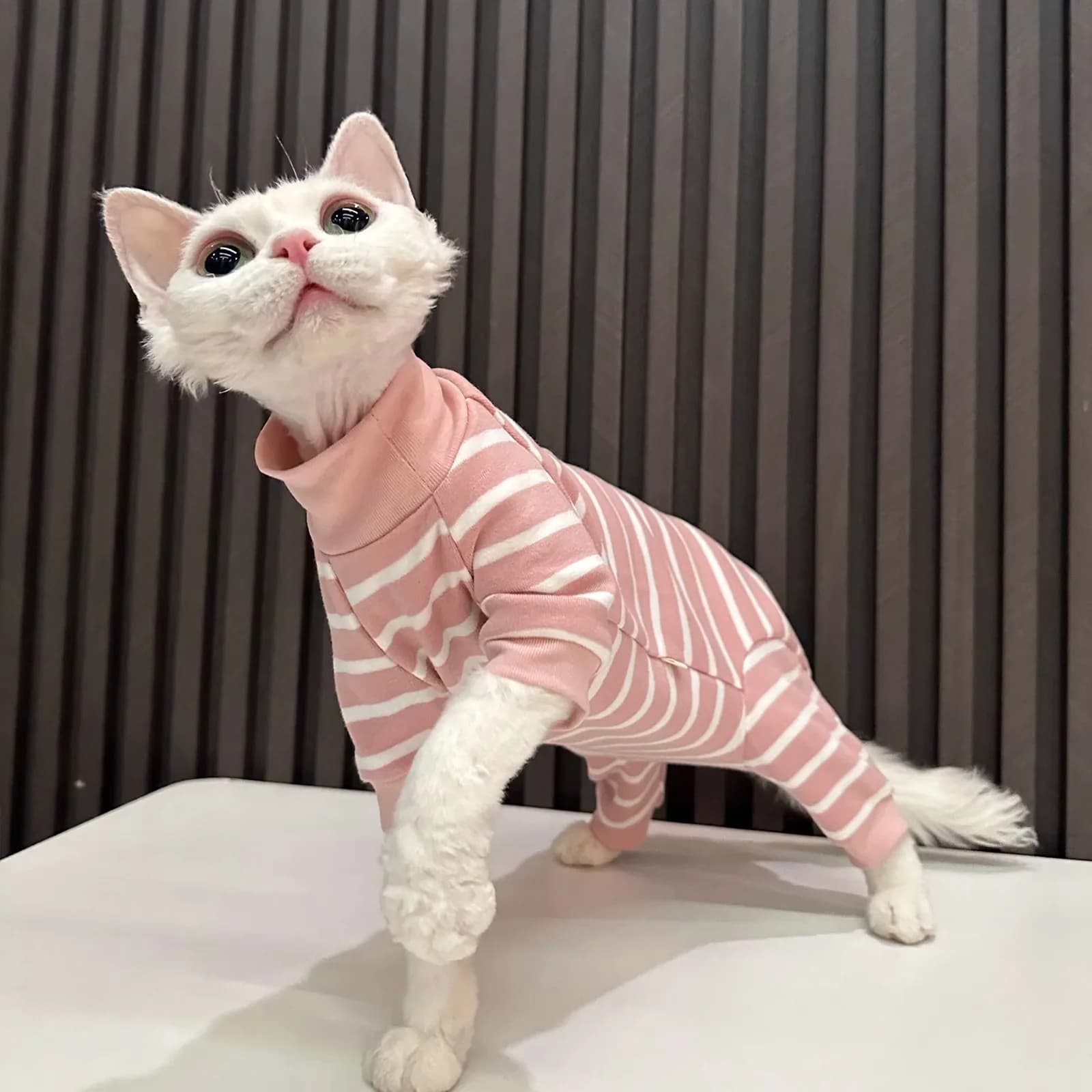 Abbigliamento a Quattro Zampe a Righe Rosa con Collo Alto per Gatti Sphynx e Devon Rex Senza Pelo, Vestiti Caldi Anti-Perdita di Pelo per Animali Domestici Autunno Inverno