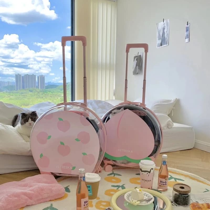 Trolley per gite per animali domestici Borsa portatile trasparente per gatti Zaino da viaggio Teddy Bichon