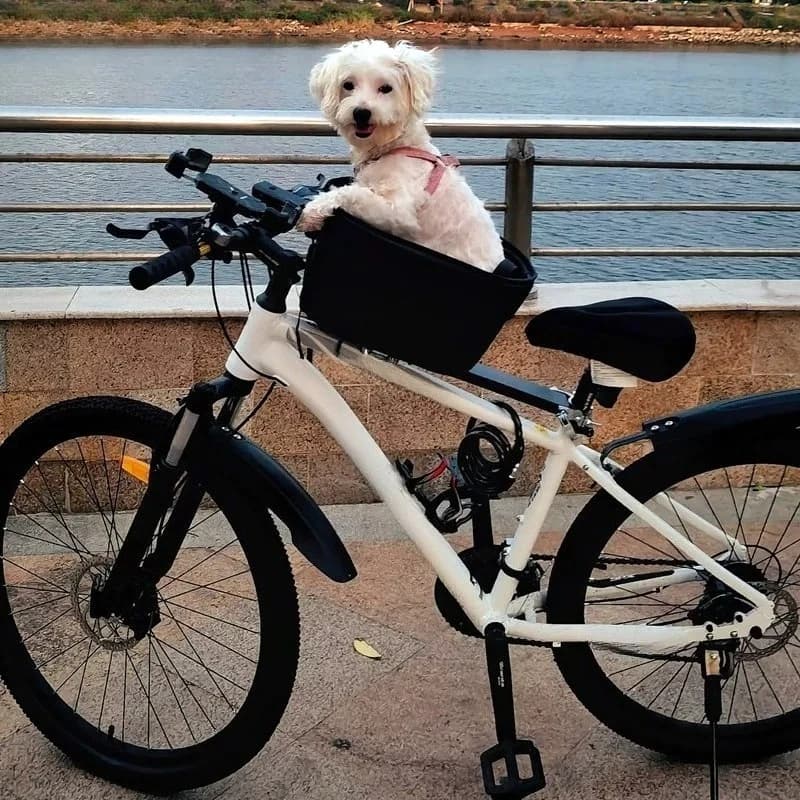 Foldable Bicycle Dog Basket,Pet Bike Carrier for Mountain & Road Bikes,Portable Travel Puppy Basket for Cycling