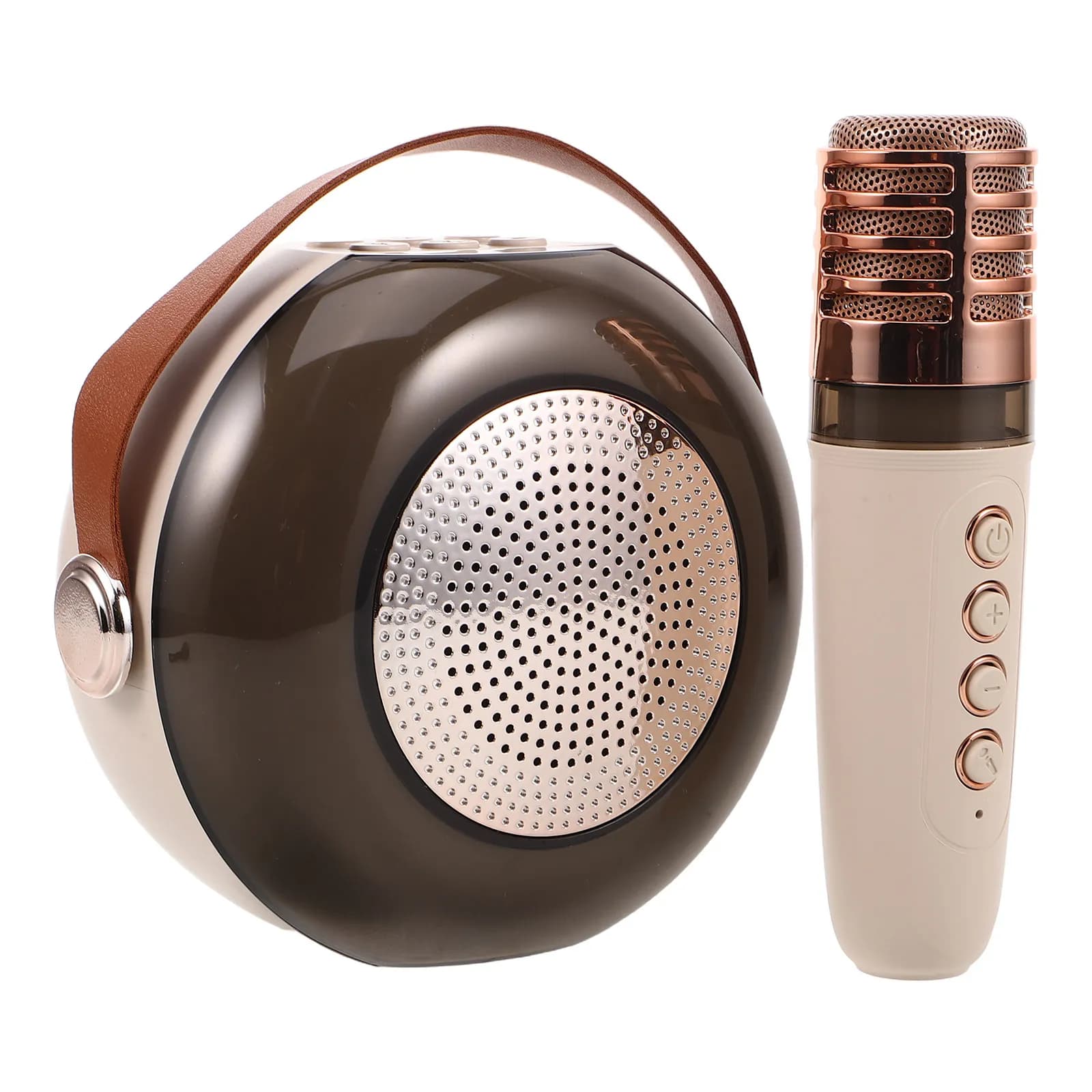 Sistema Karaoke Portatile per Esterni con Microfono Wireless e Altoparlante per Campeggio, Feste in Famiglia, Mini Altoparlante Karaoke per Adulti