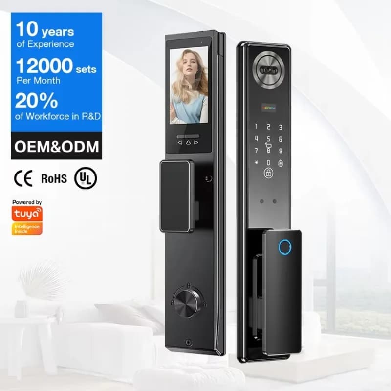 Impronta digitale biometrica RFID in lega di zinco con cilindro durevole intelligente personalizzato Sblocca la serratura digitale intelligente in metallo con fotocamera