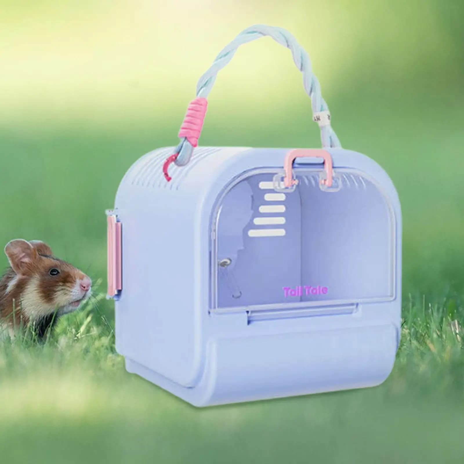 Gabbia porta criceti Gabbia portatile per animali domestici per piccoli animali domestici Criceto nano Scoiattolo