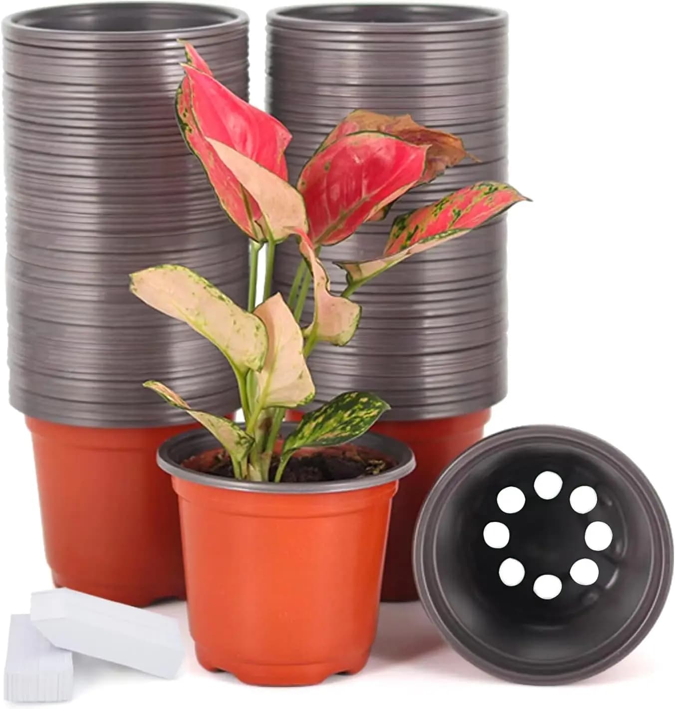 Confezione da 100 Vasi in Plastica da 4 Pollici per Piante con 100 Etichette, Vasi per Semina di Semi, Fiori e Verdure