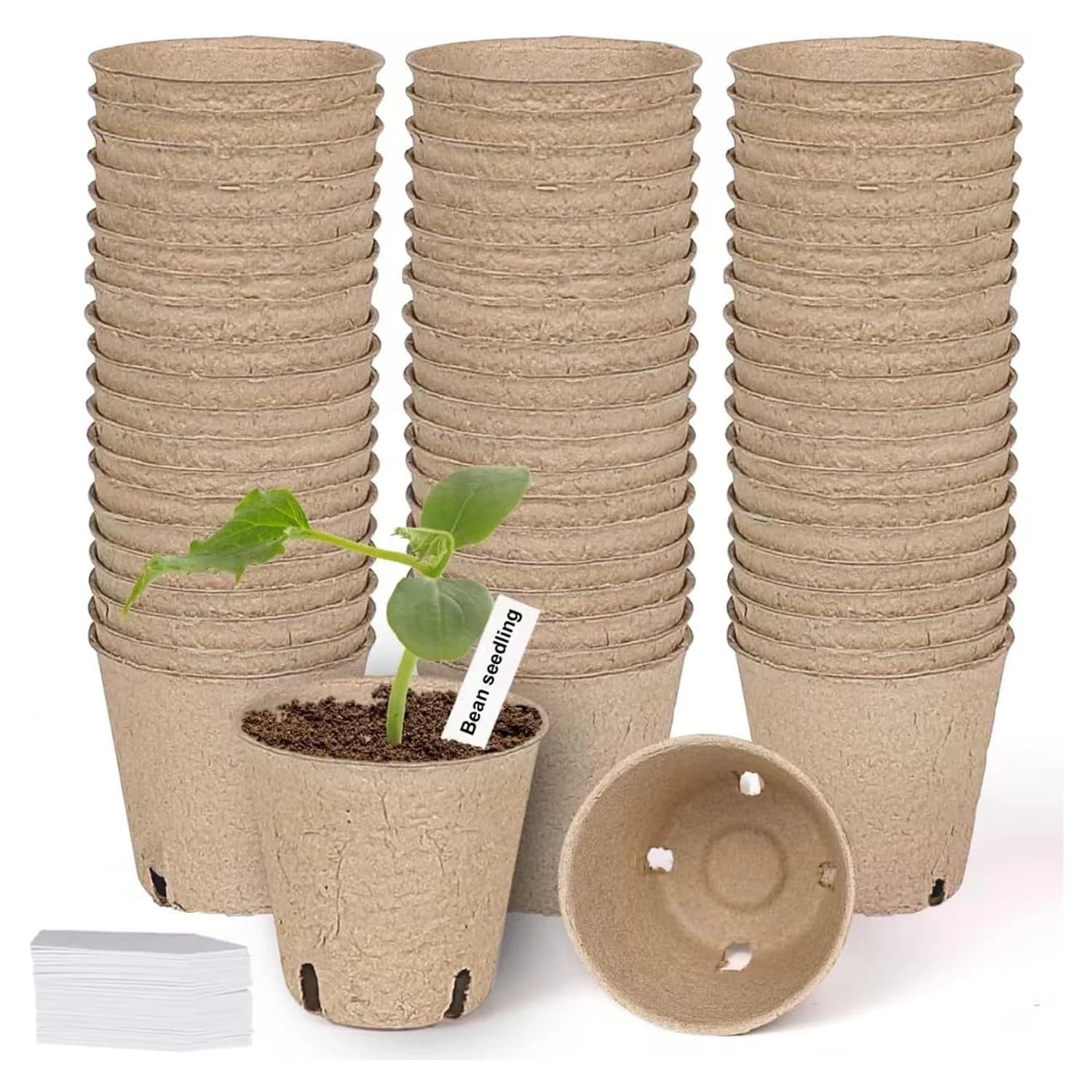 Biodegradable Vases in Polpa Card, Planters, Trays for transplantation, Semenzai Vases in Torba, Trays for Germination Seeds, Ecological Kit for Coltivation Admission