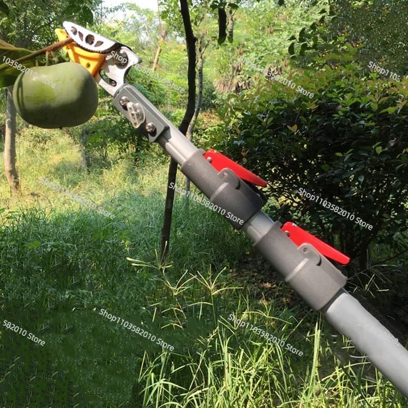 Sega per Rami Alti, Potatore Telescopico per Alberi da Frutto e Forbici da Giardinaggio
