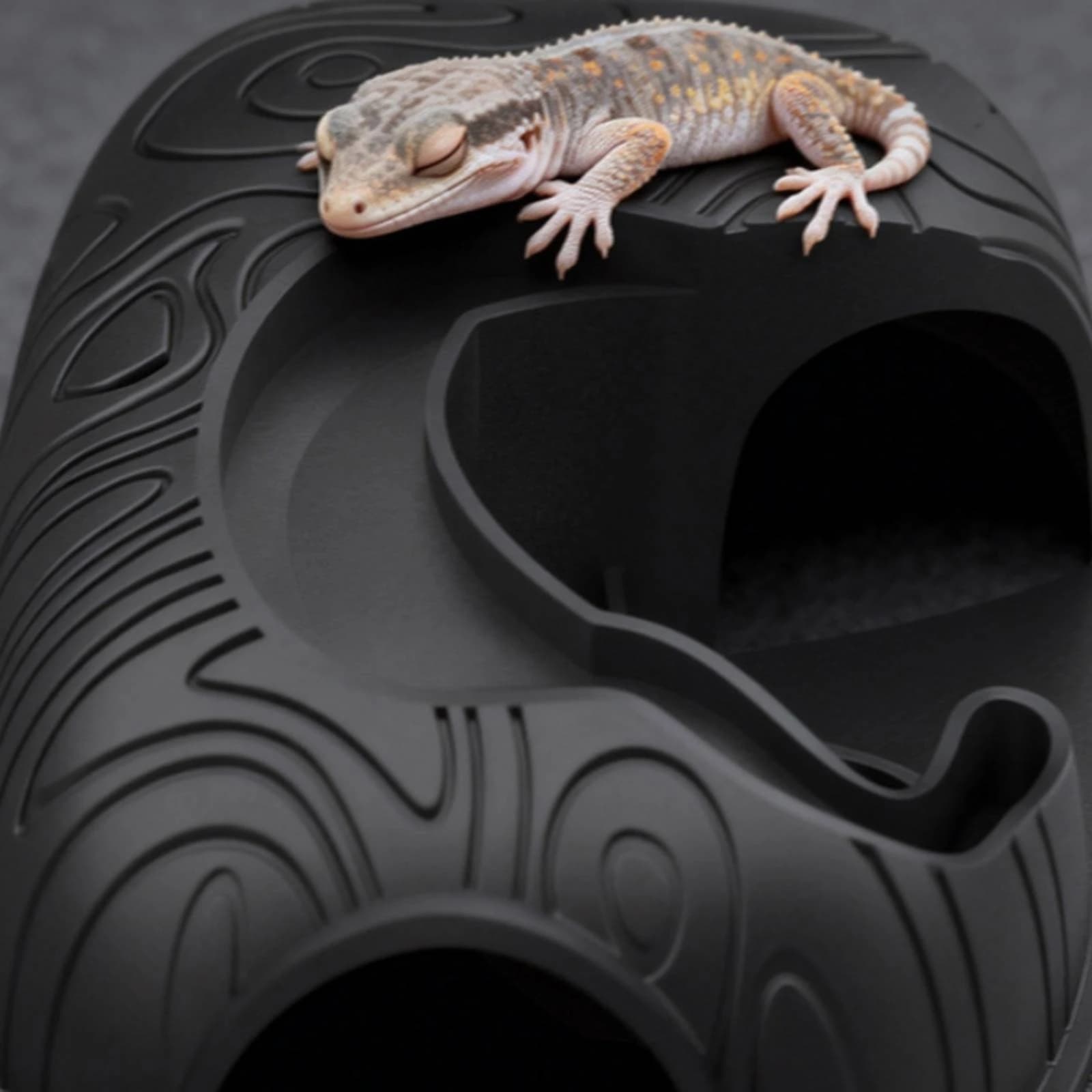 Cold-Blooded Pet Food and Water Hideout Secure Hiding Place twoDoor Cold-Blooded Pet Shelter Terrarium Shelter Bowl Safe Rounded