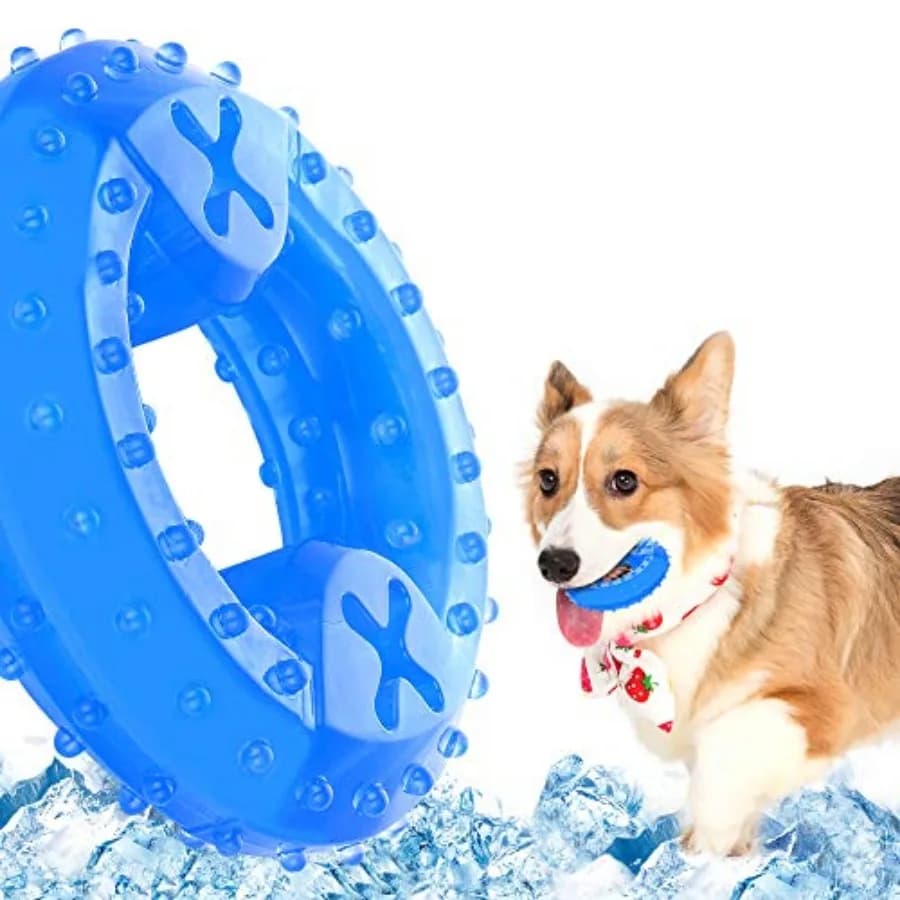 Giocattolo da Masticare Rinfrescante per Cani, Giocattolo per la Dentizione dei Cuccioli, Adatto per Contenere Snack per Maggiore Divertimento, Anello da Masticare