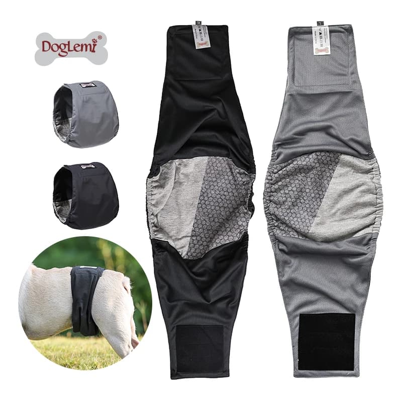 Antibacterial Leak-Proof Dog Physiological Pants Reusable Water Absorbent Pet Sanitary Underwear Hygiene Shorts Pet Supplies
