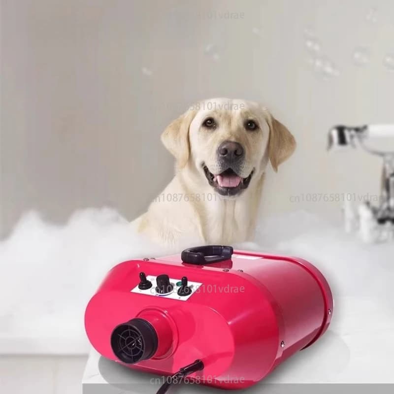 Pet hair dryer for large, silent dogs with double motor power