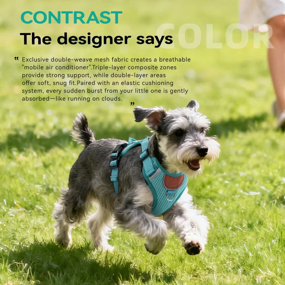 Breathable Mesh Reflective Decorative Adjustable Walking Harness Set for Dogs Suitable for Small and Medium-sized Puppies