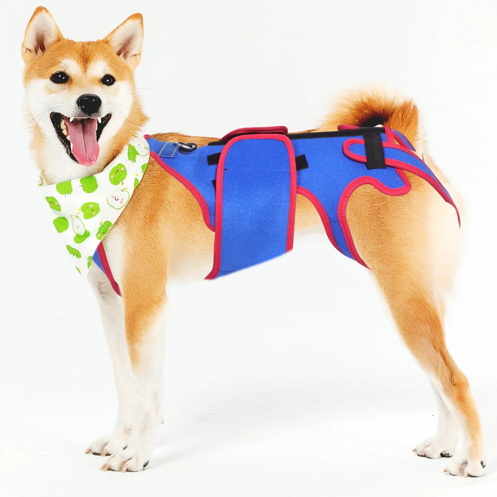 Pettorina per Cani Regolabile con Imbottitura Morbida, Imbracatura Calmante per Prevenire la Spondilosi Cervicale