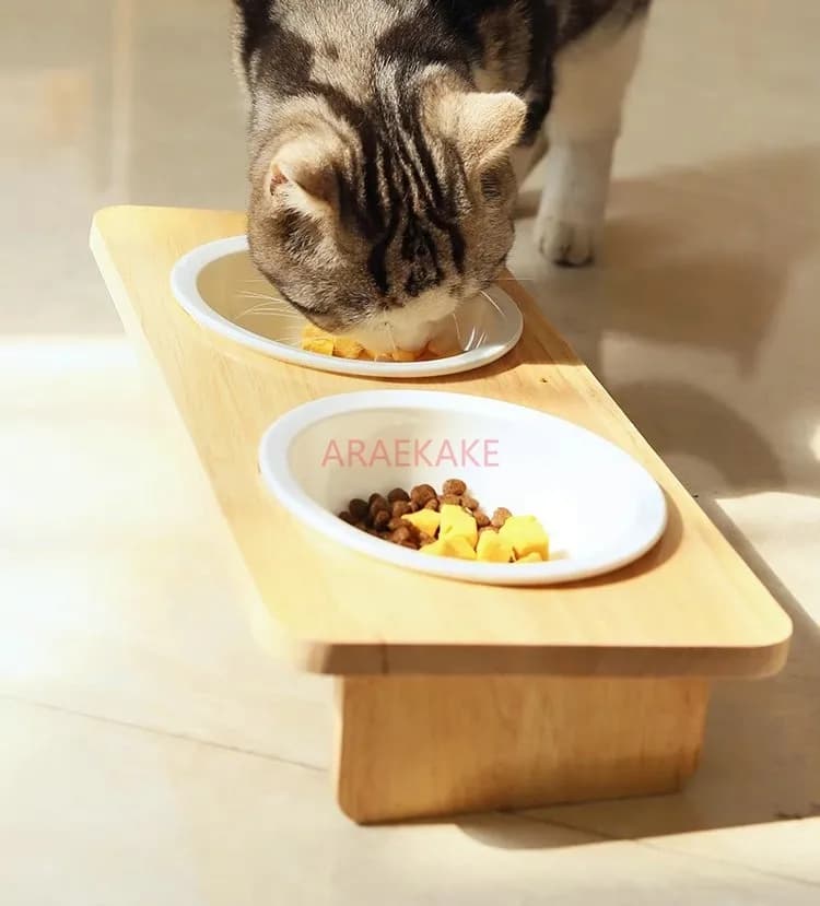Ciotola per gatti, ciotola per cibo per gatti, ciotola per animali domestici in ceramica, ciotola per riso per conigli per gatti, ciotola per acqua potabile integrata per gatti e cani
