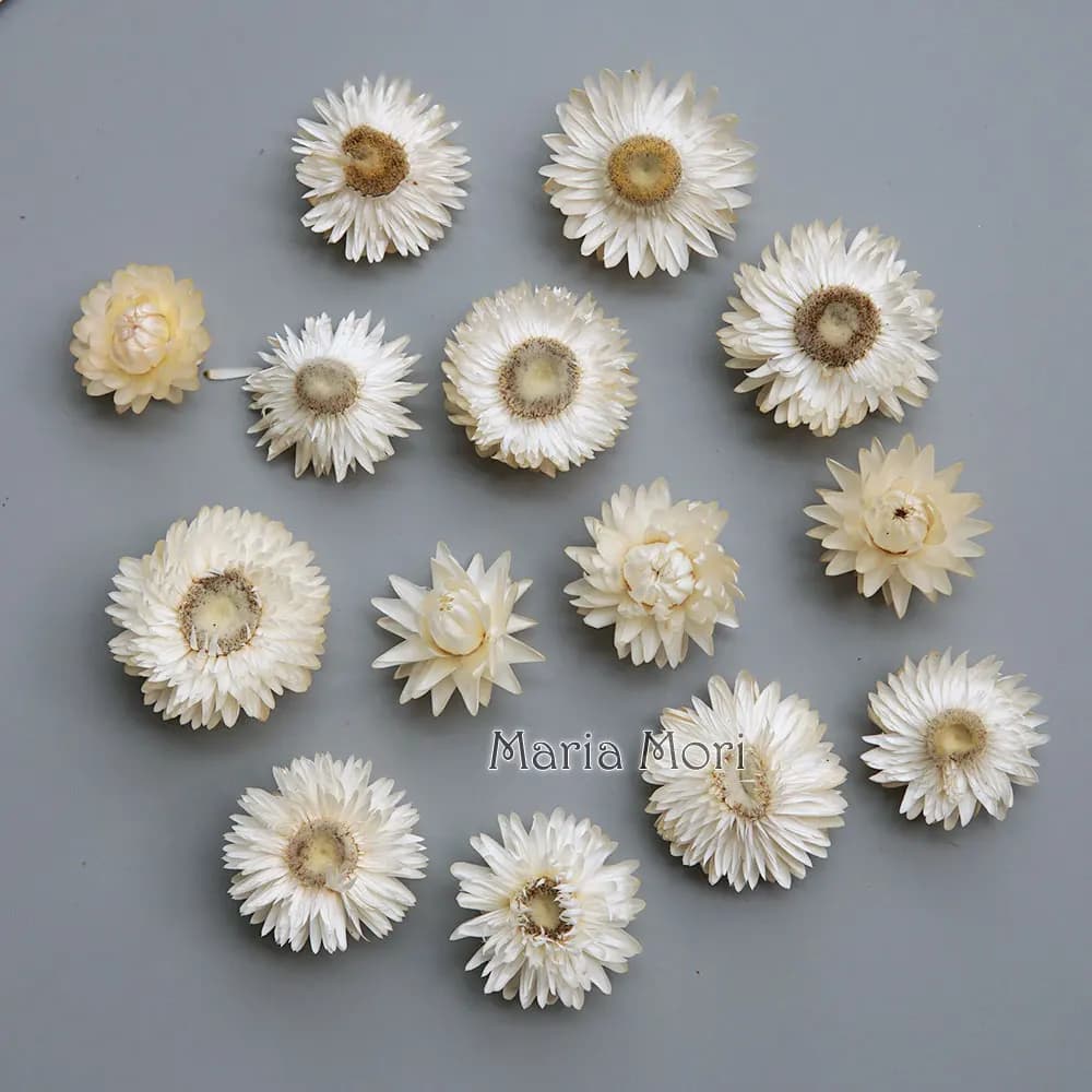 Natural Dried Colorful Chrysanthemum Wreath Handmade Hair Accessories DIY Material For Resin Products Aromatherapy Candles