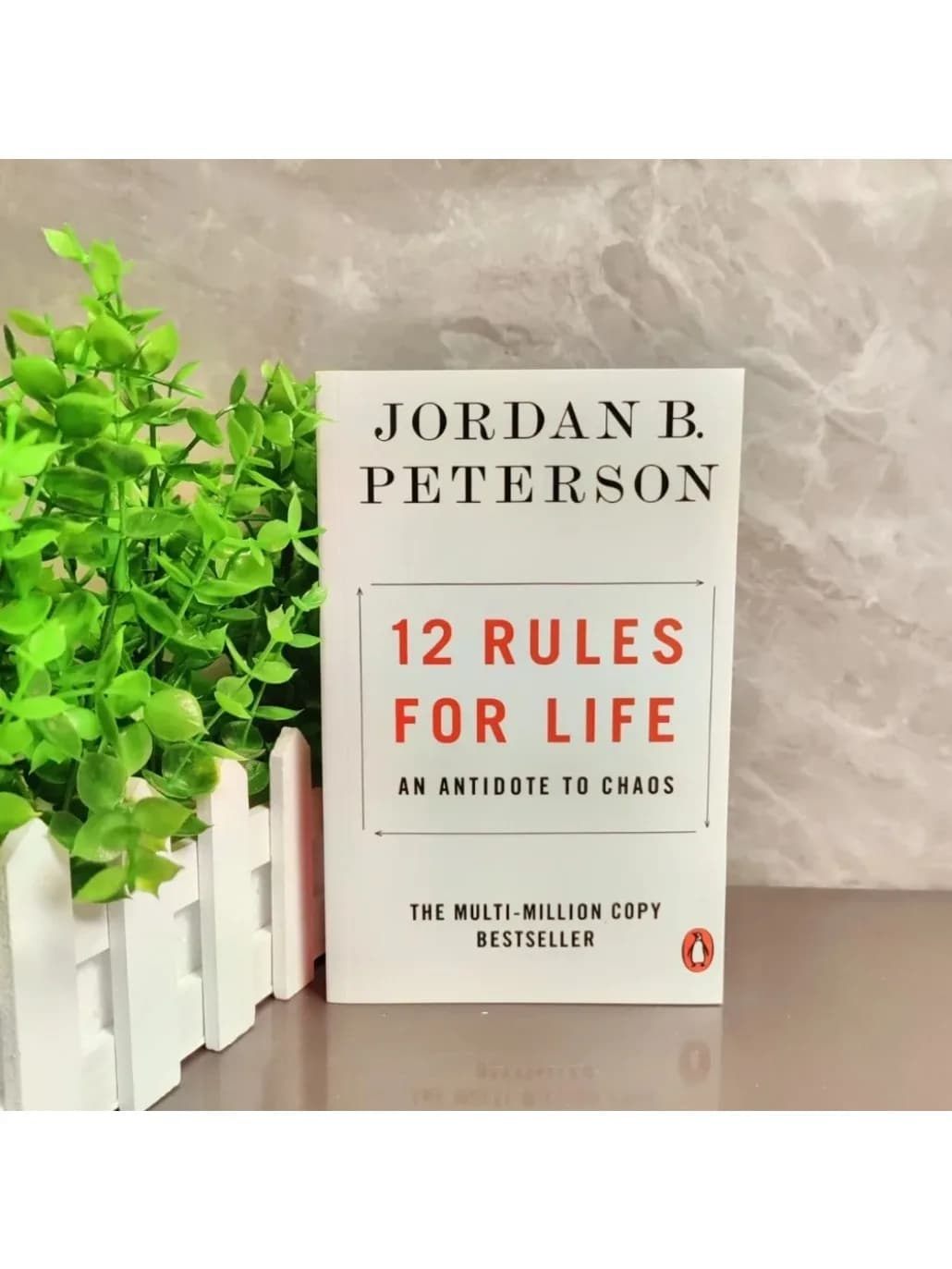 Bestseller 2026: 12 Rules for Life: An Antidote to Jordan Peterson's Chaos solves eighty percent of the dissociation in life
