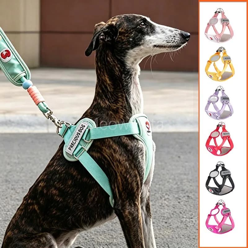 Comfort Adjustable Dog Harness with Soft Padded Explosion-Proof Tactical Medium Large Dog Walking Harness for Greyhound Labrador