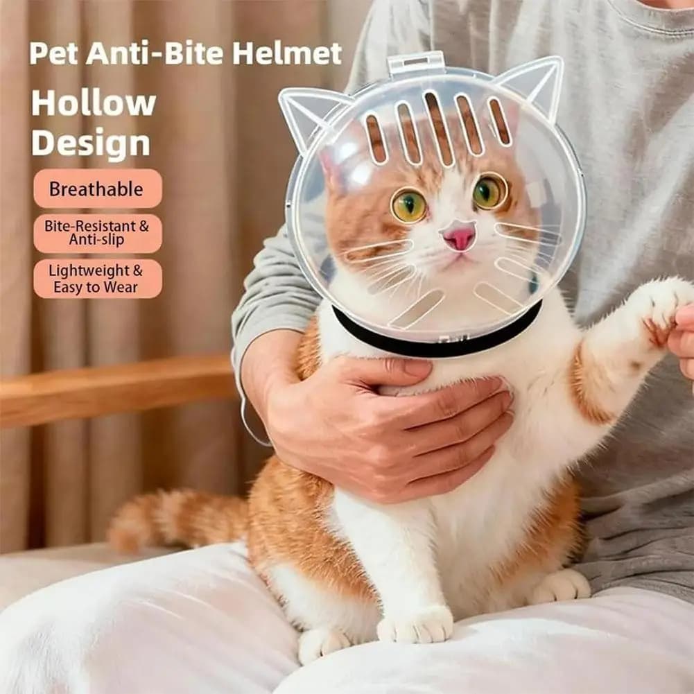 Maschera Protettiva per Gatti Traspirante e Robusta, Copricapo Anti-morso per Toelettatura Animali Domestici