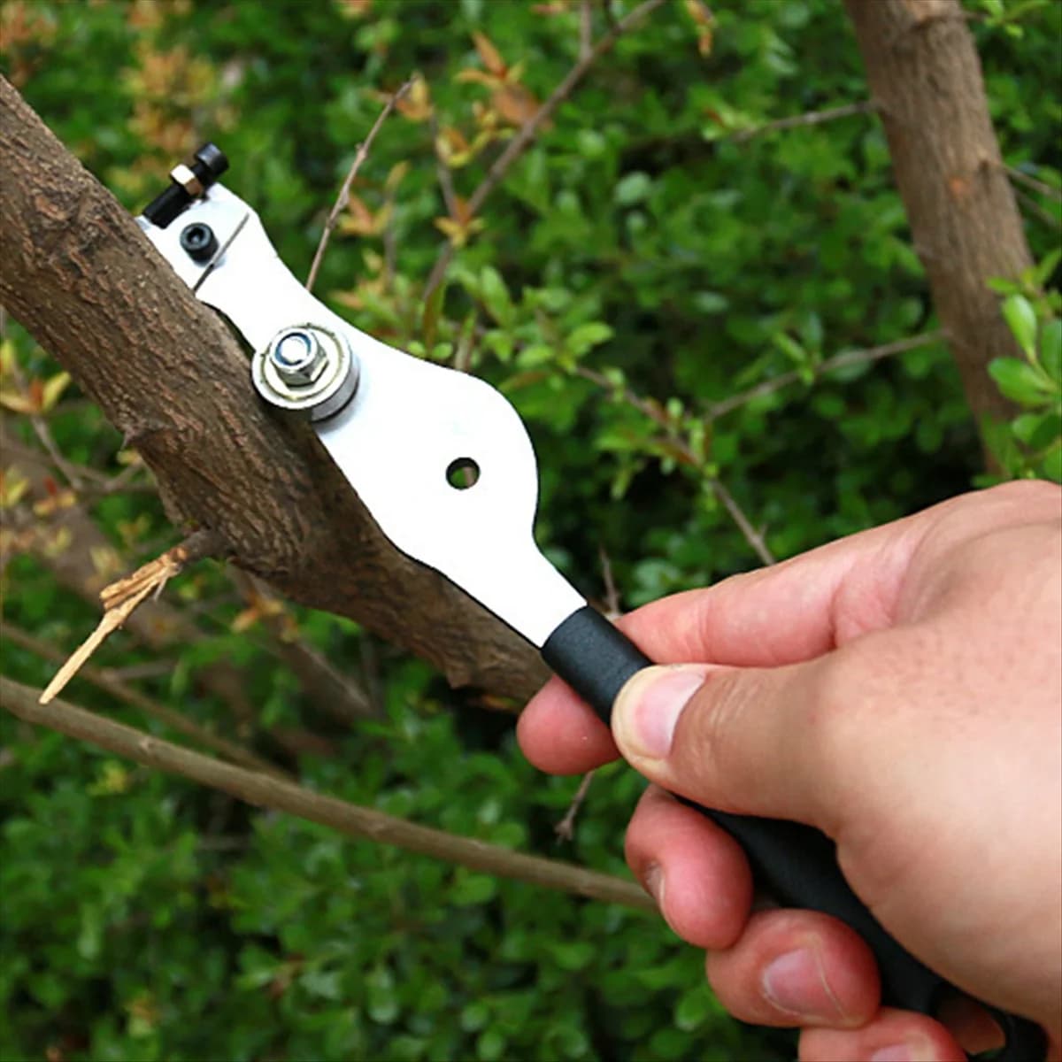 New spelaphile pliers for fruit trees, tool for manual grafting, pruning shears for bonsai trees