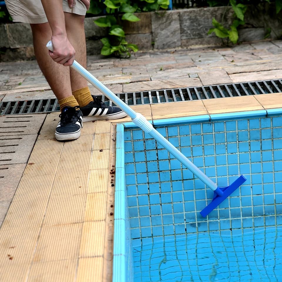 Spazzola in Plastica da 10 Pollici per Pulizia Piscine, Rimozione Sporco e Muschio, Strumenti per Laghetti, Spa e Acque Terme