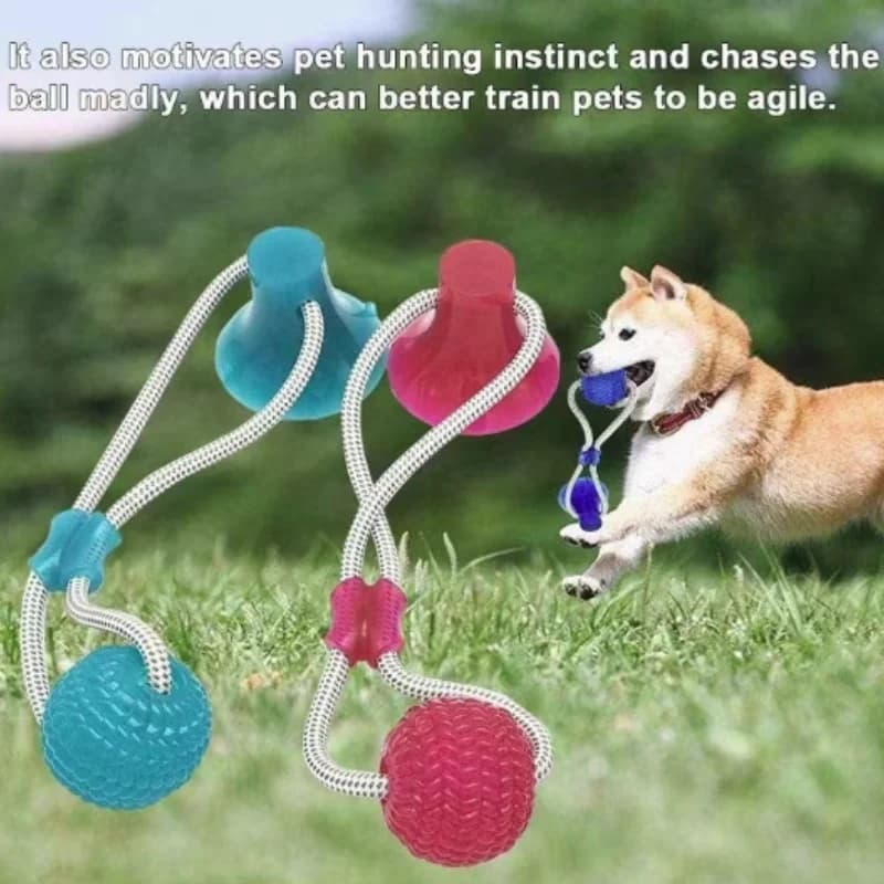 Pet Toy Rubber Suction Cup Ball Bite Resistant Molar Chew Interactive Teeth Cleaning Stress Relief for Cats And Dogs