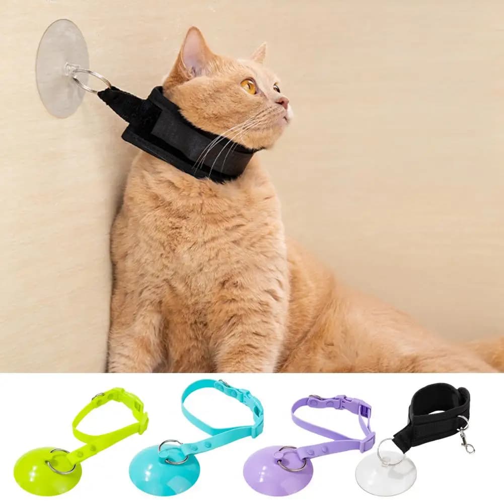 Porta ventosa per toelettatura di animali domestici Guinzaglio regolabile per il bagno del cane Guinzaglio di ritenuta per cani e gatti Taglio delle unghie Doccia Bagno