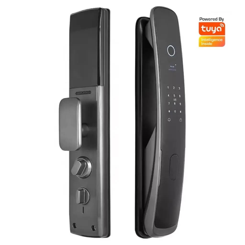 Tuya Home Smart Controllo accessi biometrico Smart Home Wifi Serratura automatica Cerradura Inteligente