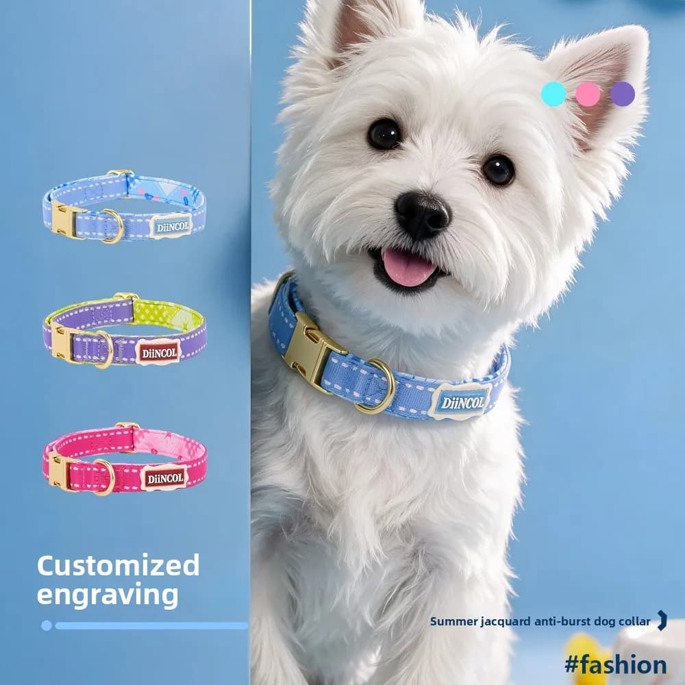Customizable Name and Phone Jacquard Thickened Adjustable Pet Collar Designed for Small and Medium-sized Dogs for Outdoor Walks